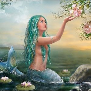 Meet your Posher, Nelly